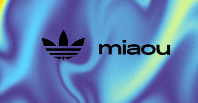 Miaou x Adidas Originals: la inspo motorsport.