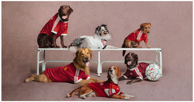 adidas presenta colección de fútbol para mascotas